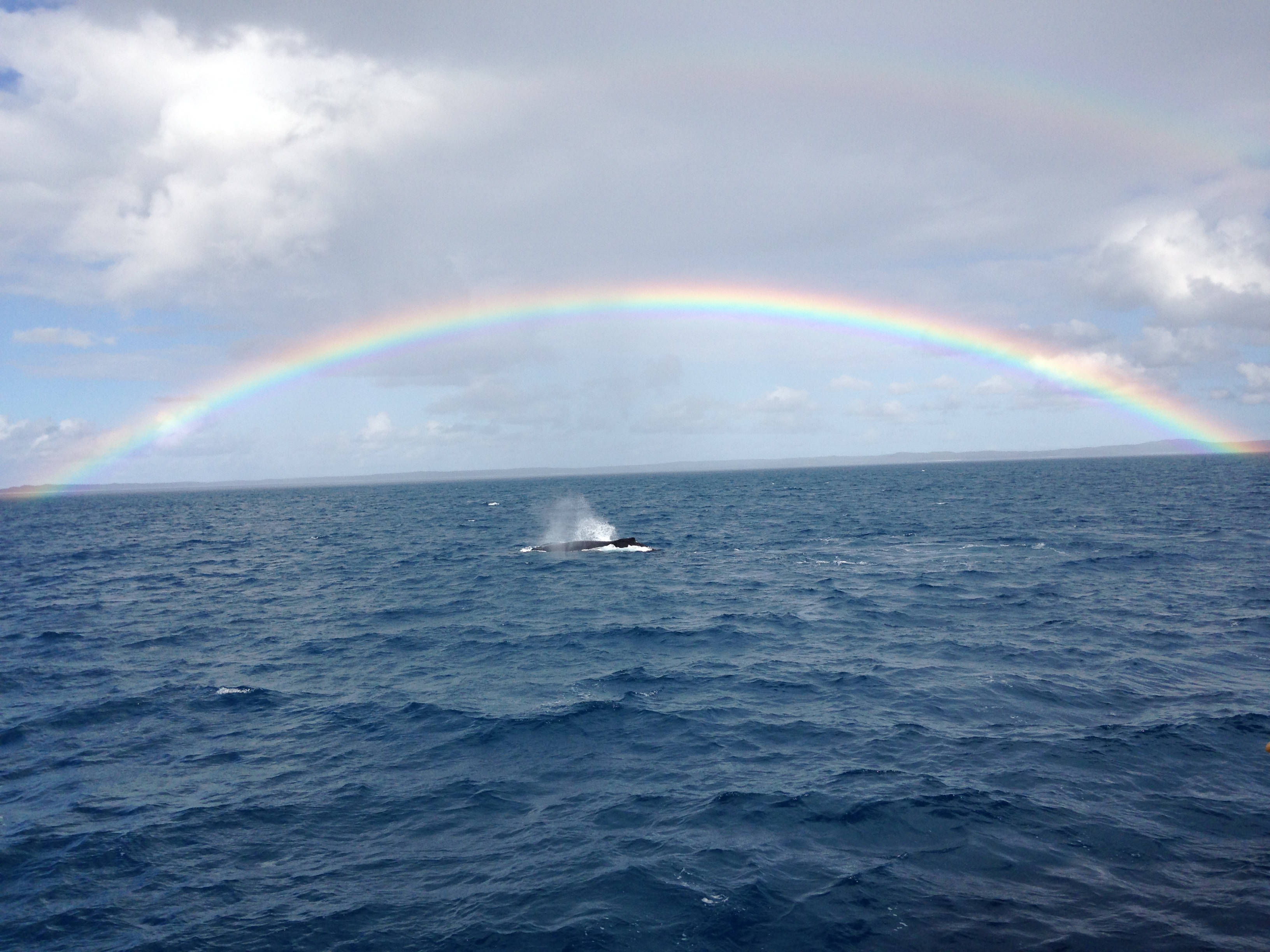 Whale Watching and Amazing Rainbows In Hervey Bay