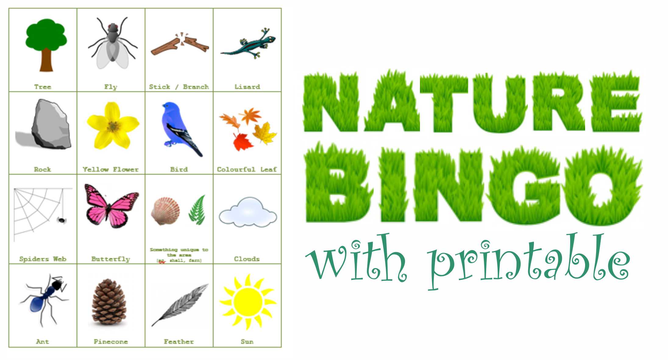 nature bingo template