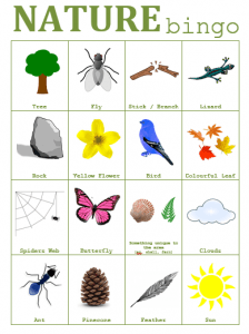 Nature Bingo (With Printable) - School Mum