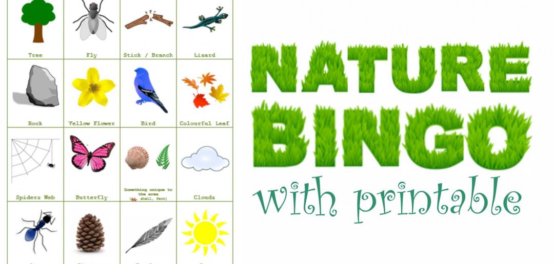natur bingo für kinder
